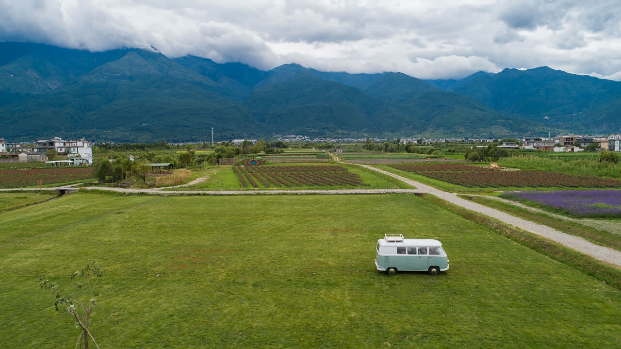 大理花伴一生玫瑰莊園鮮花餅戶外團建