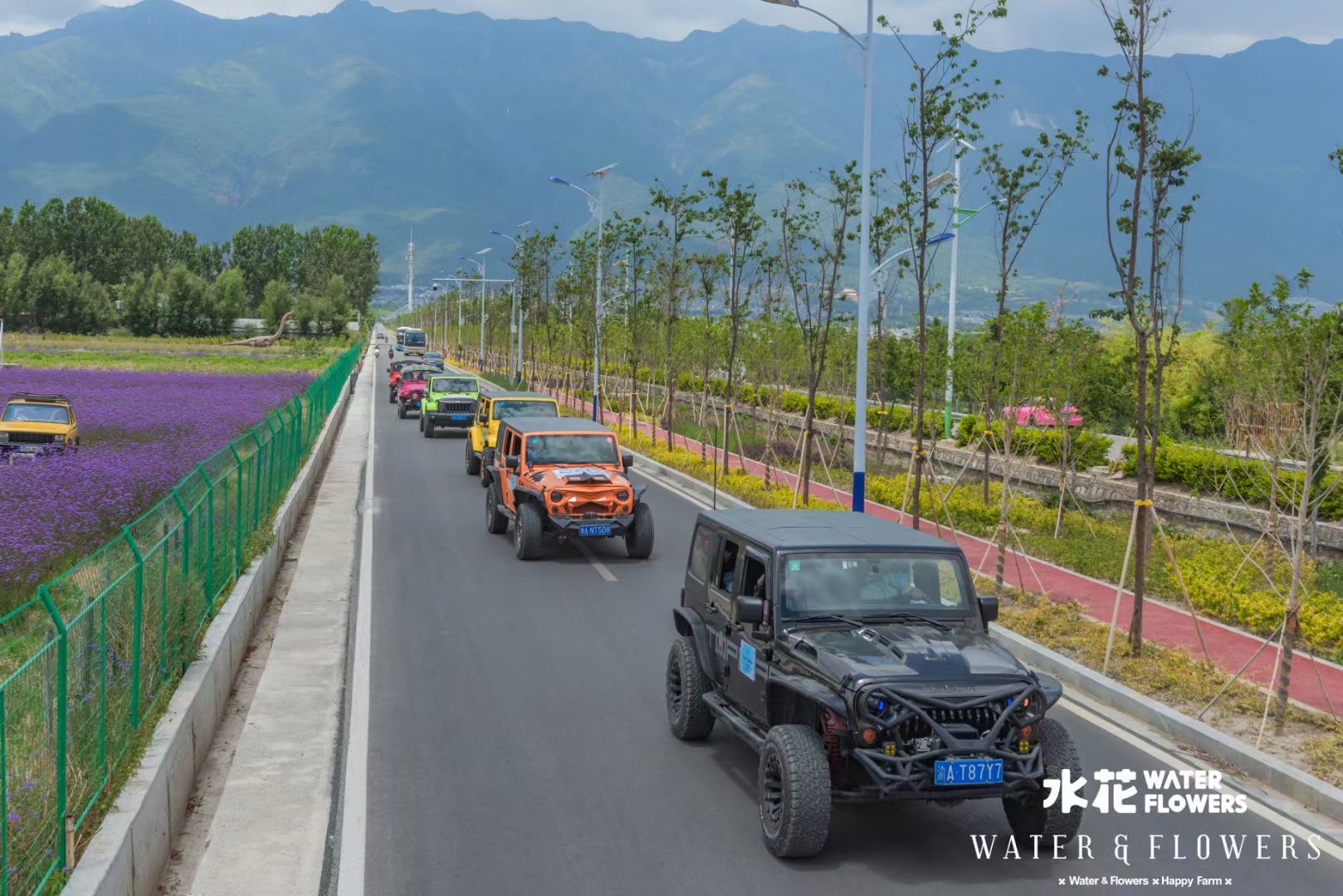 大理水花莊園吉普車旅拍試駕基地