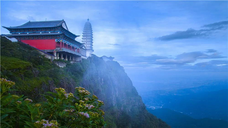 大理旅游 大理雞足山傳來杜鵑花訊 美得像仙境