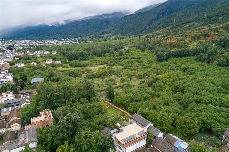 大理小重山鹿鳴山莊戶外基地