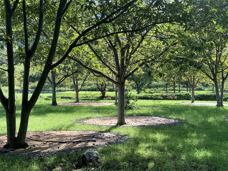 大理小重山鹿鳴山莊戶外基地