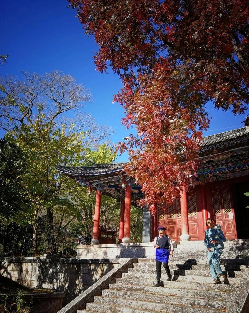 鶴陽寺