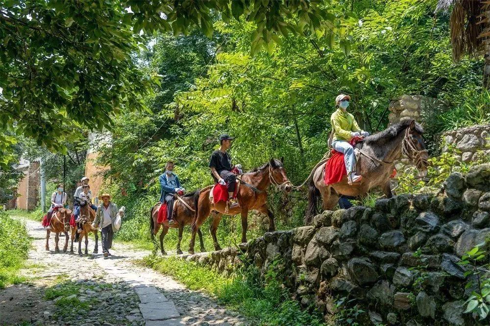 大理鳳陽邑茶馬古道