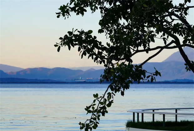 大理策劃公司:海舌，洱海邊的“寶藏公園”